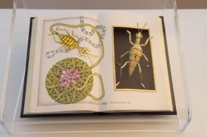 foto per recensione mostra2